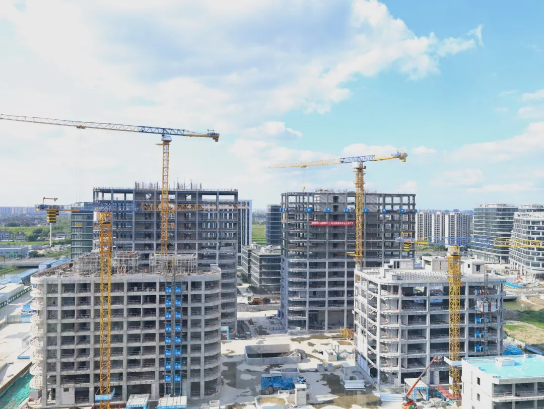 同心同向 造炬成阳 | 豪门国际2024年第三季度动态速览